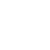 Icon-4_100x