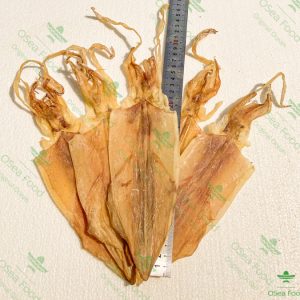 Khô Mực câu 16-20 con