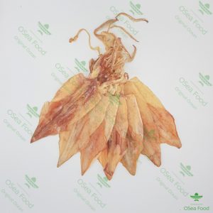 Khô Mực câu 21-26 con
