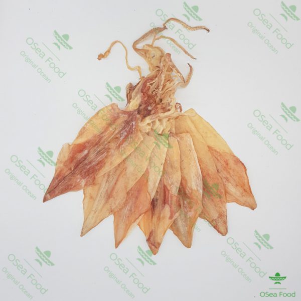 Khô Mực câu 21-26 con