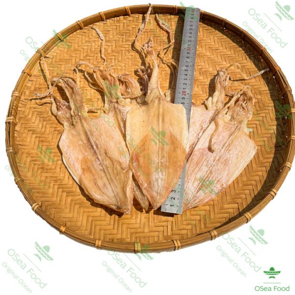 Khô Mực câu 21-26 con