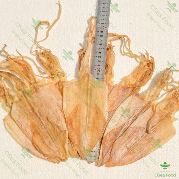 Khô Mực câu 21-26 con