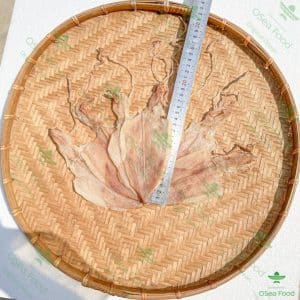 Khô Mực câu 33-40 con