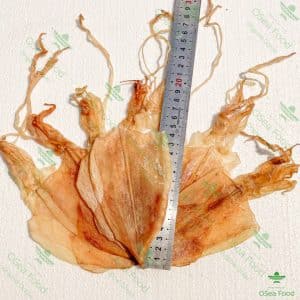 Khô Mực câu 33-40 con