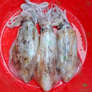 muc la tuoi phu quoc oseafood