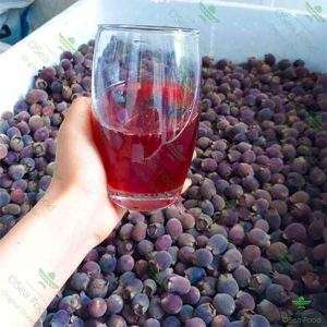Mật sim Phú Quốc OseaFood